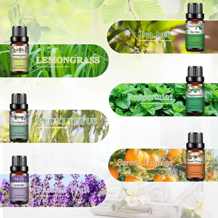 Ensemble PHATOIL de 6 huiles essentielles pures pour aromathérapie lavande eucalyptus menthe poivrée arbre à thé citronnelle orange verre ambré pour diffusion bien-être santé soins personnels