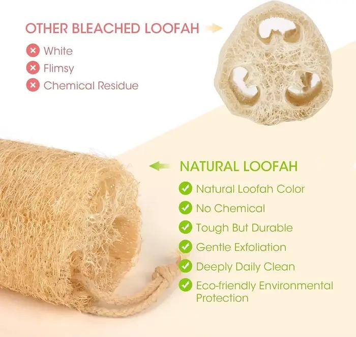 Éponges de Loofah organiques naturelles entières